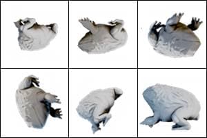 Rotated Image